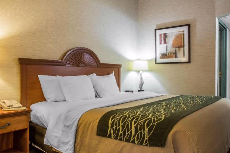 Quality Inn & Suites Мансфийлд Екстериор снимка